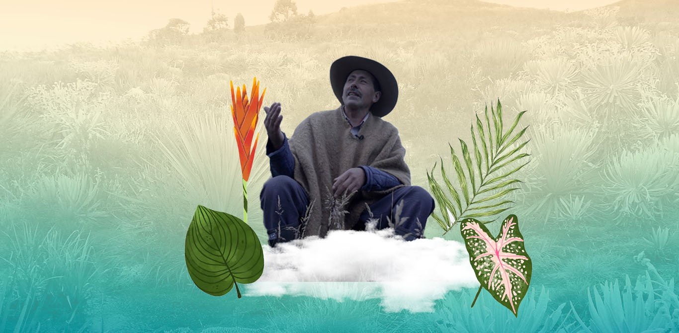 El guardián del Páramo de Pisba