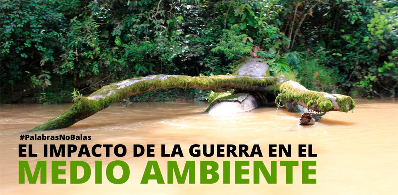 El impacto de la guerra en el medio ambiente – Pares