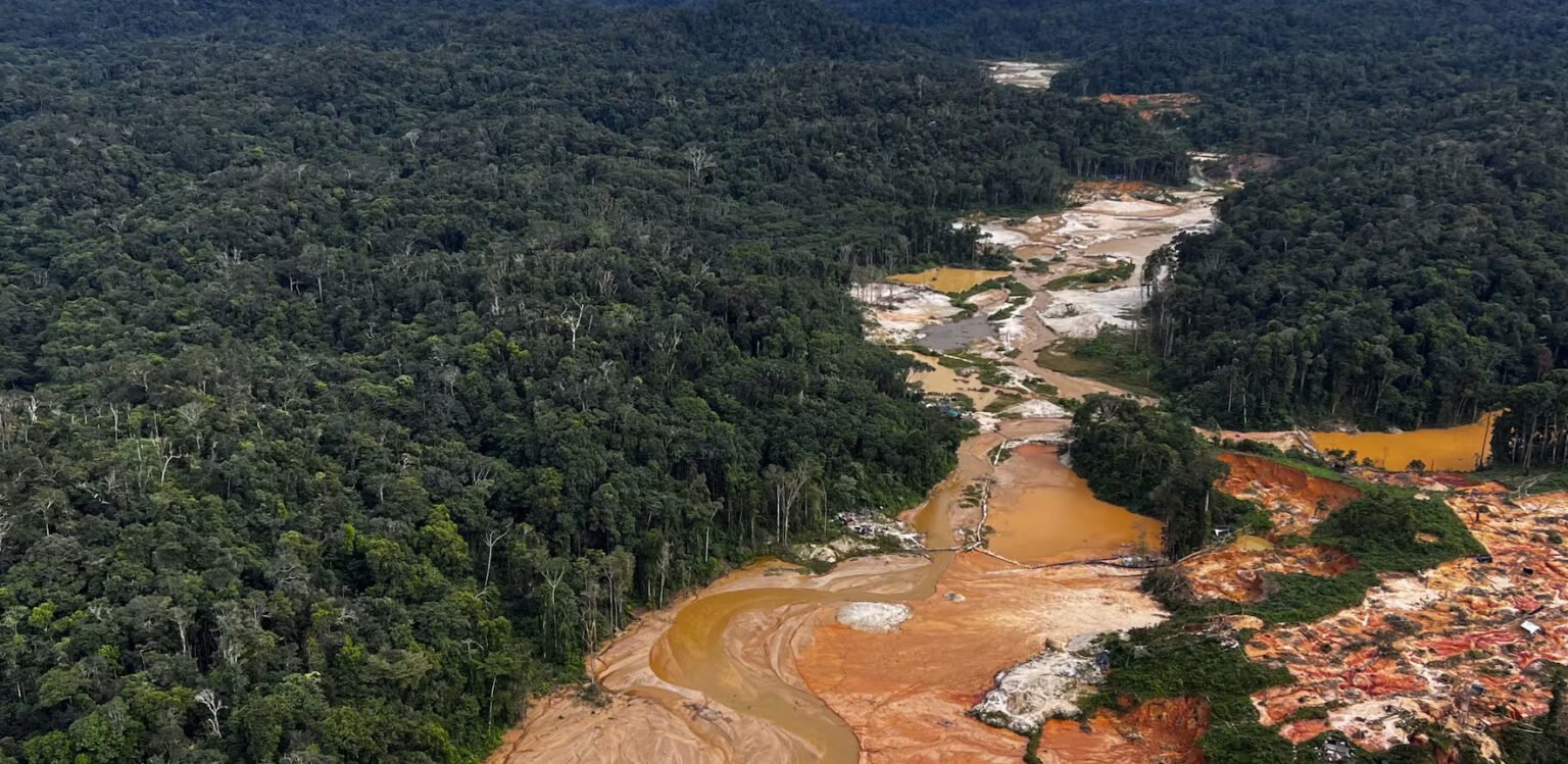La nueva Ley Minera y su impacto en la Amazonía colombiana: entre la ...