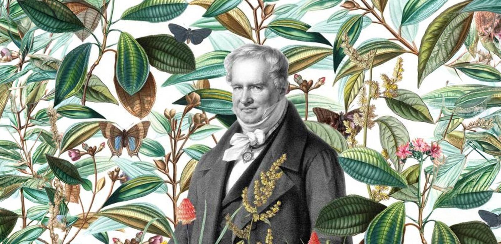 Humboldt, el primer hombre que habló del cambio climático