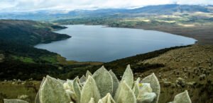 Los hermanos indígenas que fueron asesinados en Cumbal, Nariño, por proteger la dignidad de su pueblo