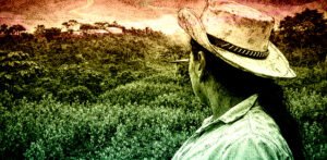 Mi vida después de la guerra, el liderazgo de una mujer firmante de paz en el Catatumbo