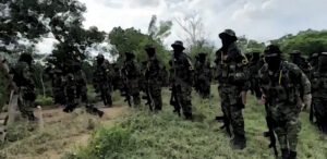 Crisis en la Sierra Nevada: Claves para entender el conflicto entre el Clan del Golfo y las Autodefensas Conquistadoras de la Sierra Nevada