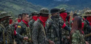 Entre avances y retrocesos: así van las ZUT de Comuneros del Sur y el EGC