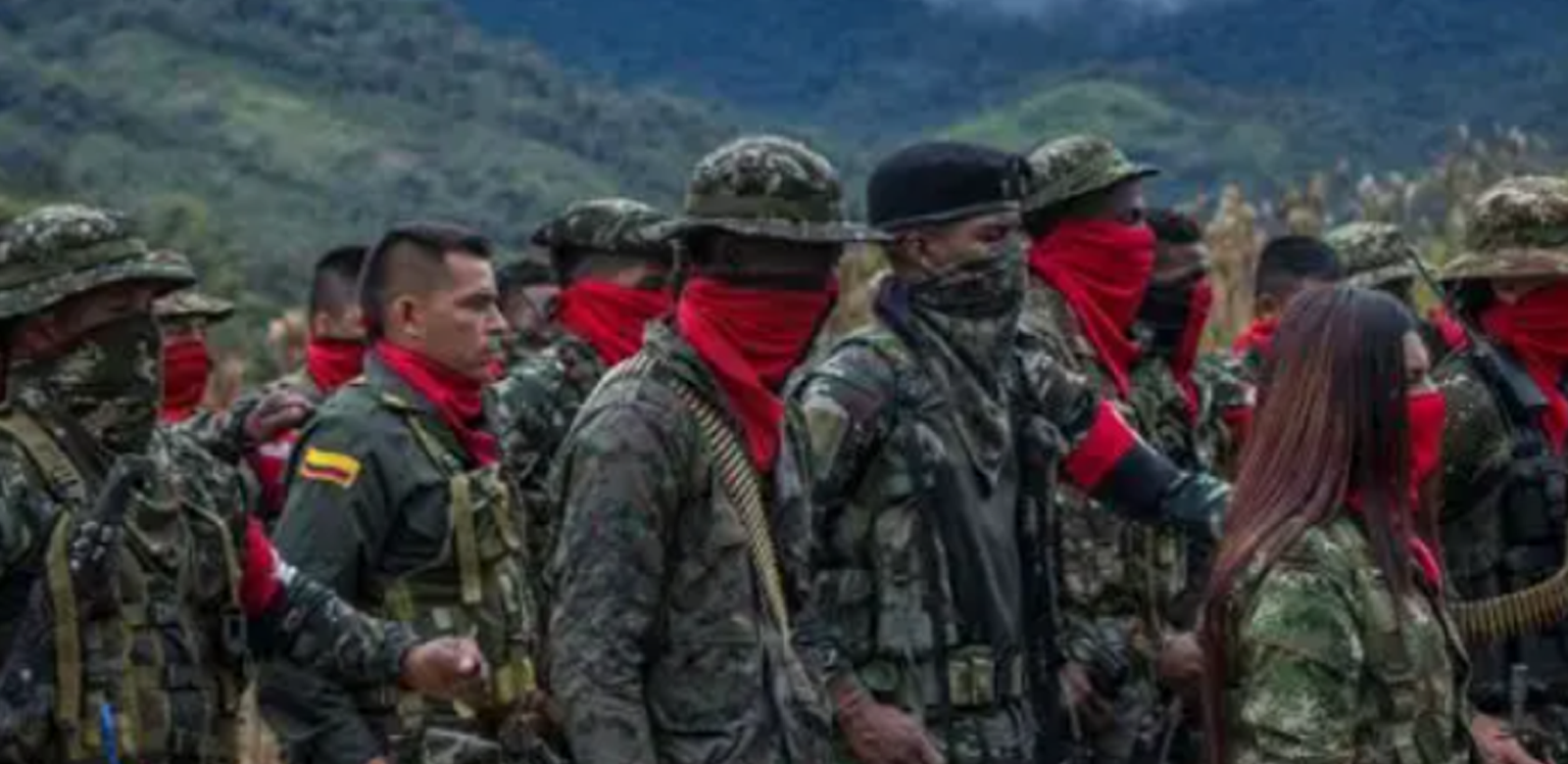 Entre avances y retrocesos: así van las ZUT de Comuneros del Sur y el EGC