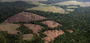 Y ahora, ¿Cómo se protege la Amazonía Colombiana? 